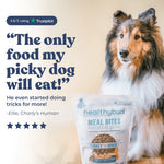 Turkey Meal Bites healthybud