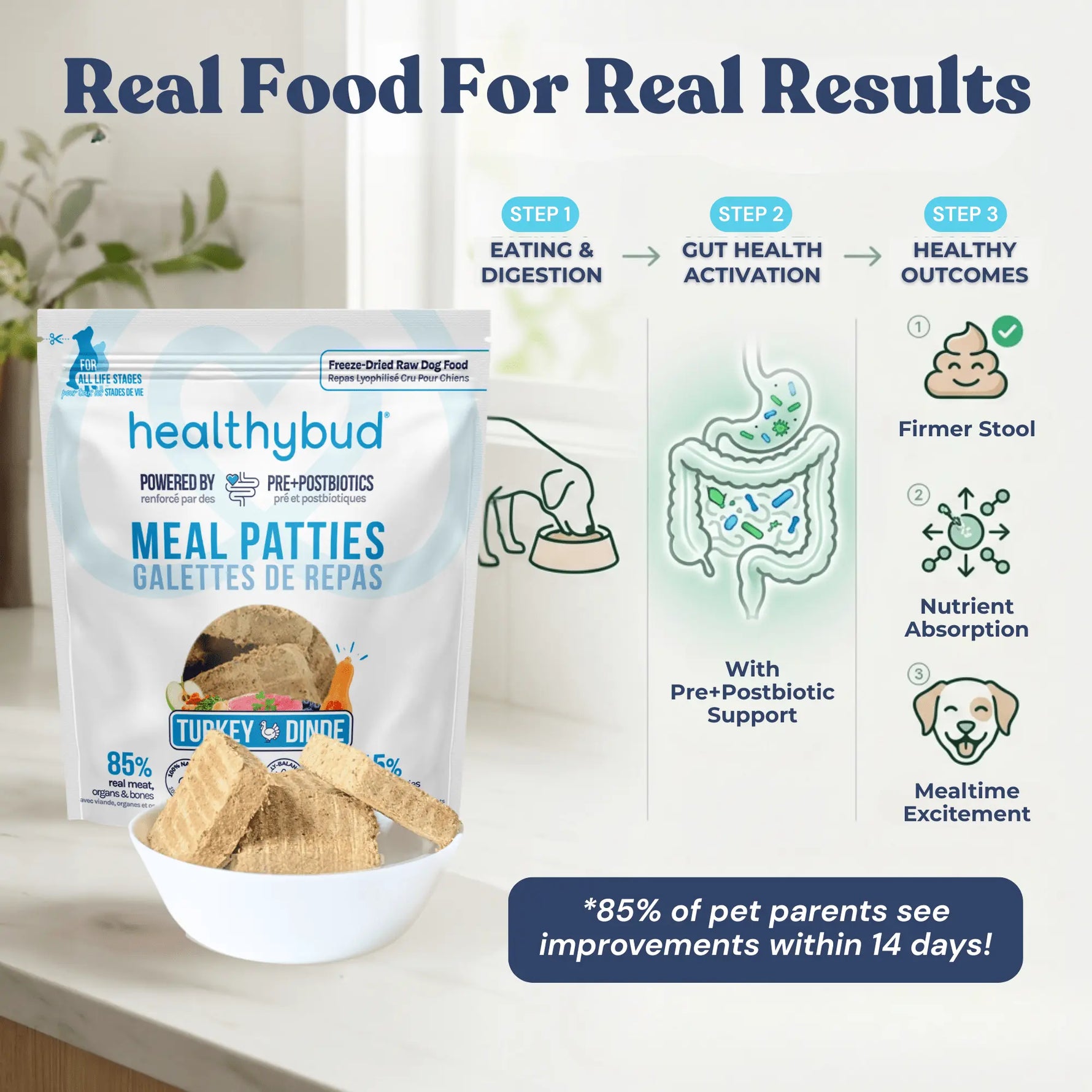 Turkey Meal Patties healthybud