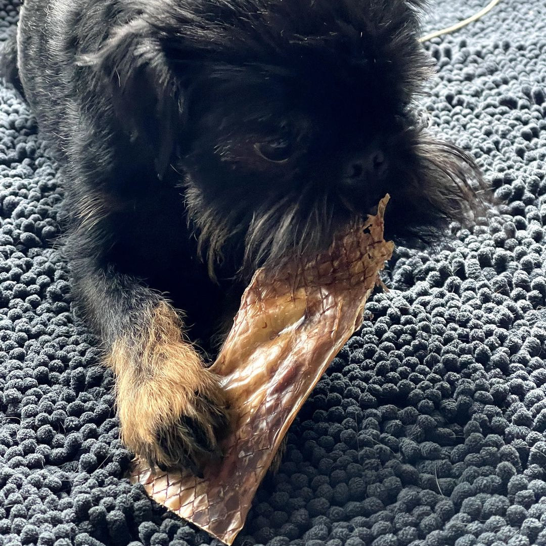 6 Inch Beef Jerky Strip Dog Treats, product photo 3 of 6