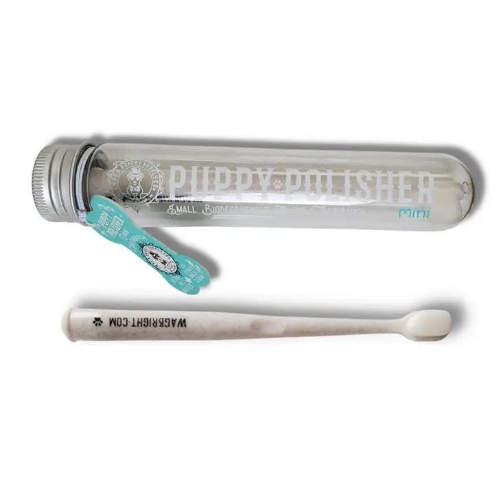 Wag & Bright - Puppy Polisher Mini Eco Toothbrush - PAWMART.ca