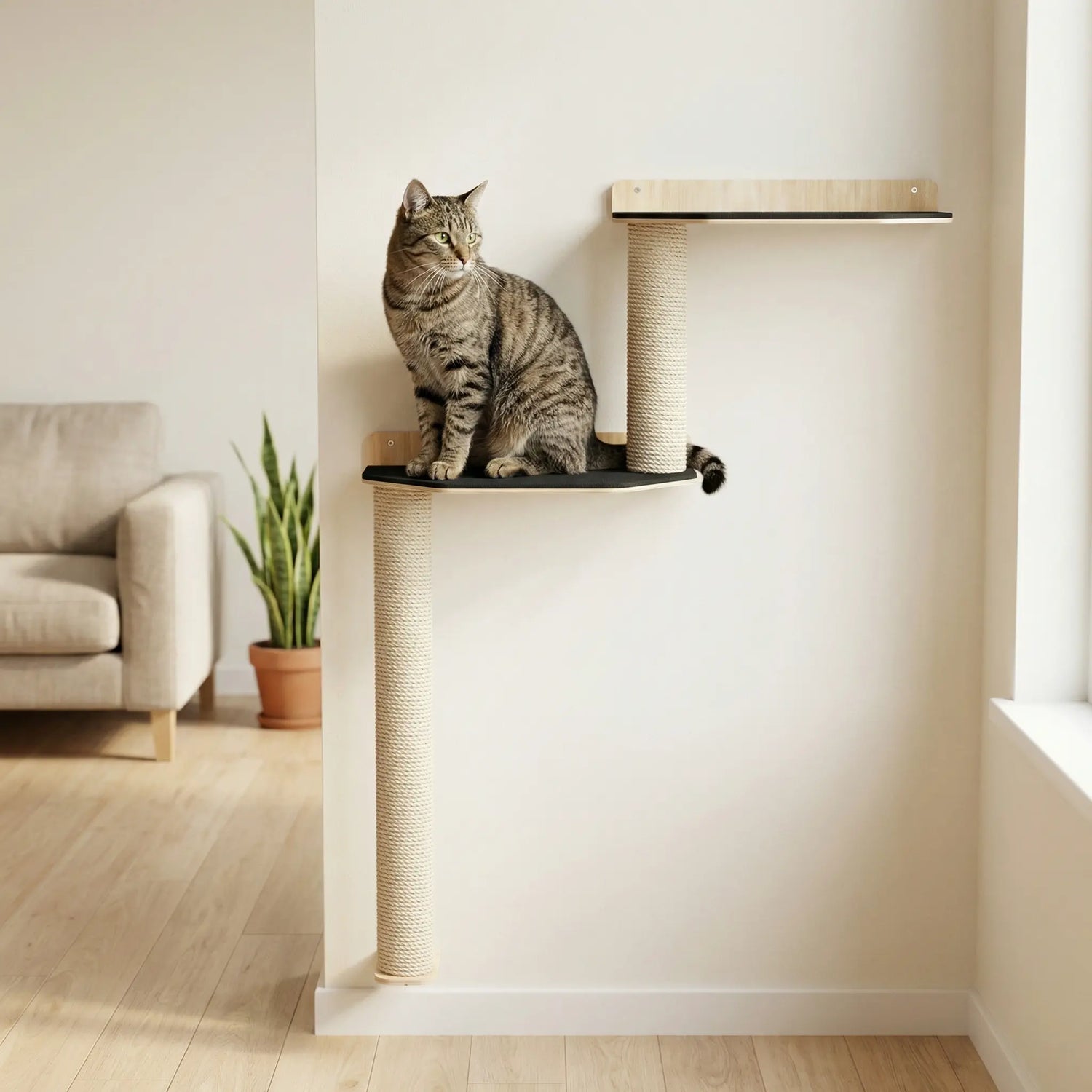 Wall Mounted Cat Scratcher Parkour Noba Animal Co.