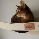 Wall Mounted Scratchable Cat Hammock Noba Animal Co.