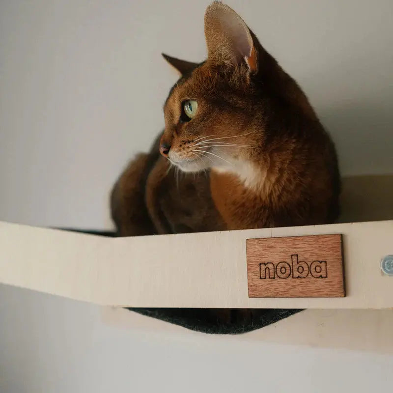 Wall Mounted Scratchable Cat Hammock Noba Animal Co.