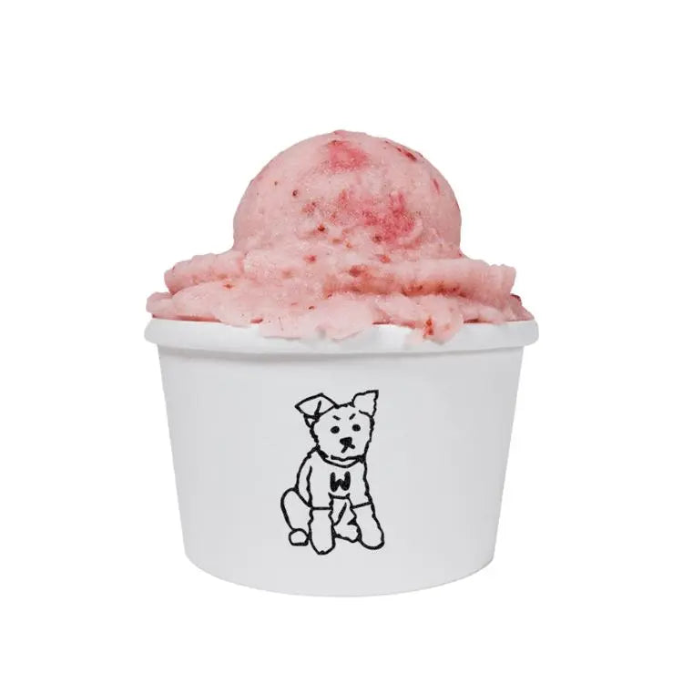 Walto - IceCream - All Flavors - PAWMART.ca