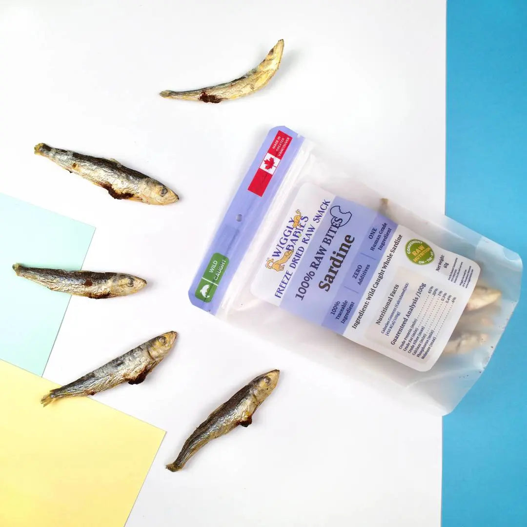 Wiggly Babies -  Wild Caught Sardine Freeze Dried Raw PAWMART.ca Canadian Pet Store & Pet Grooming