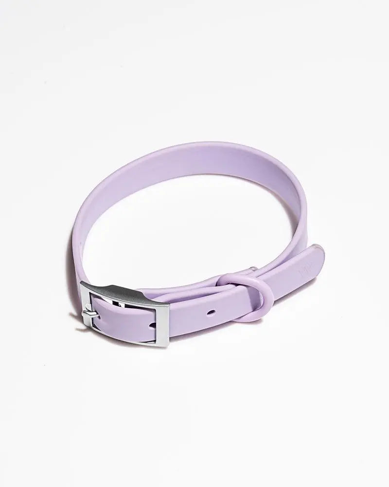 Wild One Collar - Lilac - PAWMART.ca