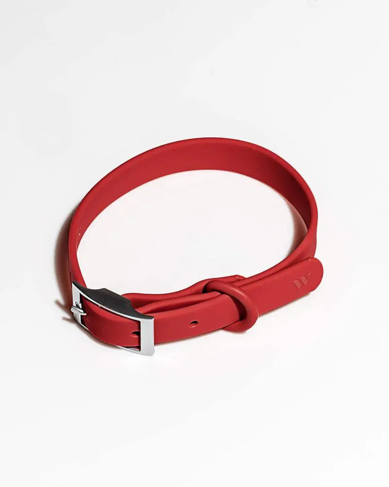 Wild One Collar - Strawberry ✨ Limited Edition - PAWMART.ca