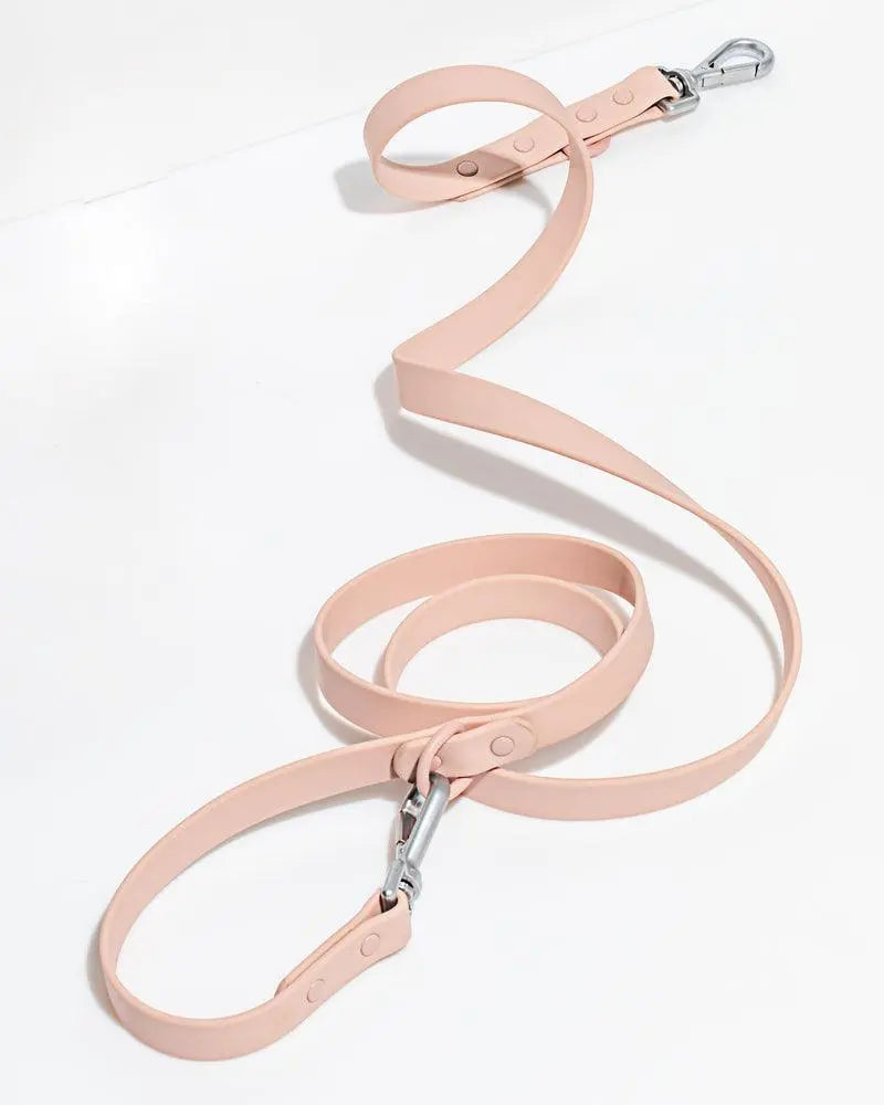 Wild One Leash - Blush - PAWMART.ca