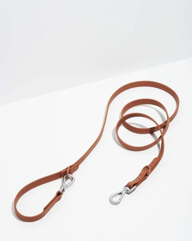 Wild One Leash - Cocoa ✨ Limited Edition - PAWMART.ca