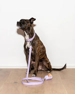 Wild One Leash - Lilac - PAWMART.ca