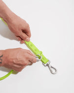 Wild One Leash - Limeade ✨ Limited Edition - PAWMART.ca