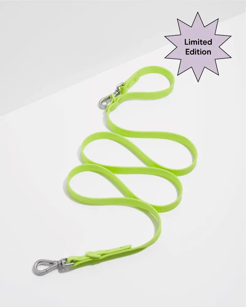 Wild One Leash - Limeade ✨ Limited Edition - PAWMART.ca