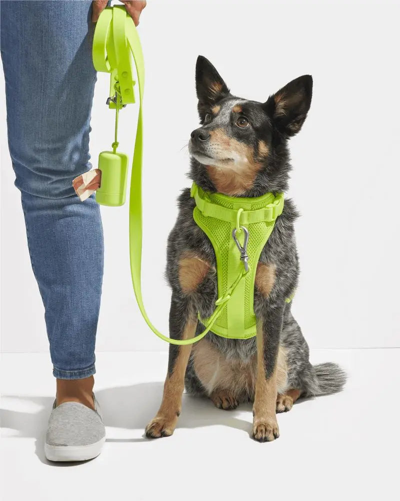 Wild One Leash - Limeade ✨ Limited Edition - PAWMART.ca