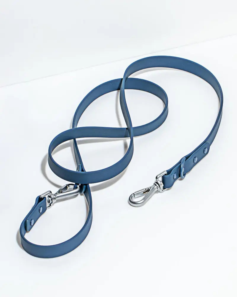 Wild One Leash - Navy Wild One