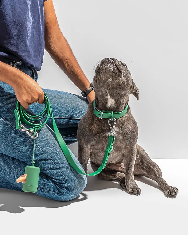 Wild One Leash - Spruce Wild One