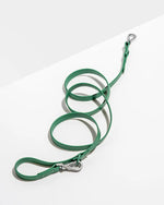 Wild One Leash - Spruce - PAWMART.ca