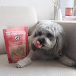 Wild Pacific Salmon Training Treats 170g Only One Treats