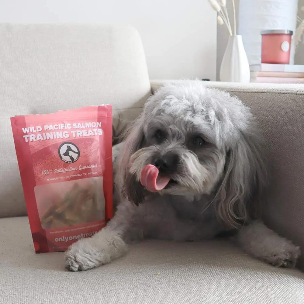 Wild Pacific Salmon Training Treats 170g Only One Treats