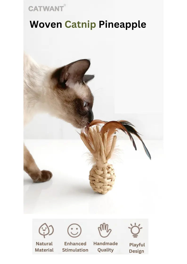 Woven Catnip Pineapple CATWANT