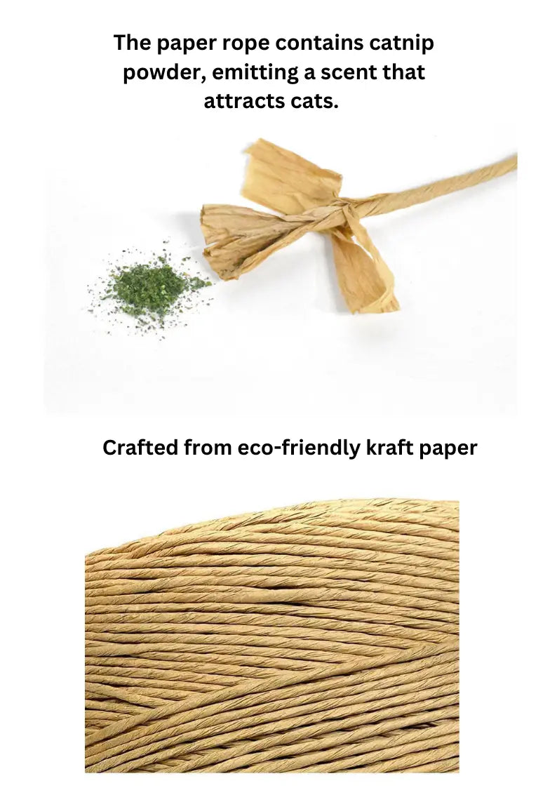 Woven Catnip Pineapple CATWANT