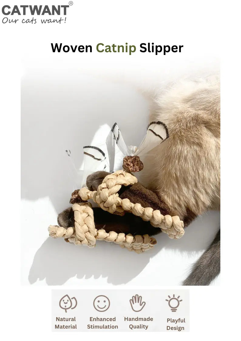 Woven Catnip Slipper CATWANT