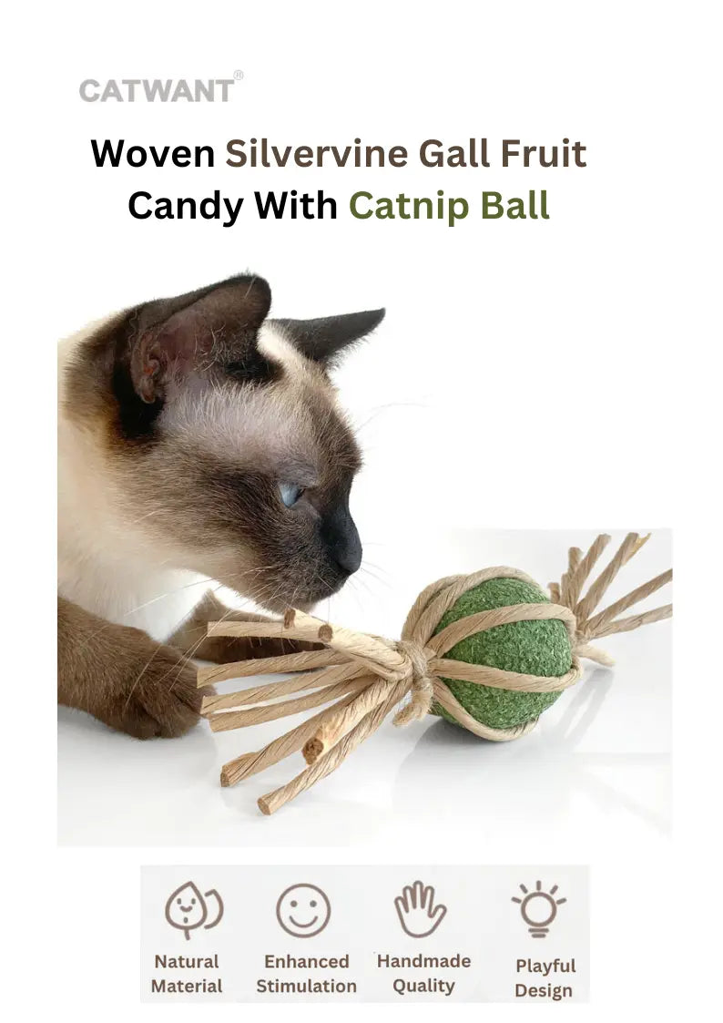 Woven Silvervine Gall Fruit Candy With Catnip Ball CATWANT