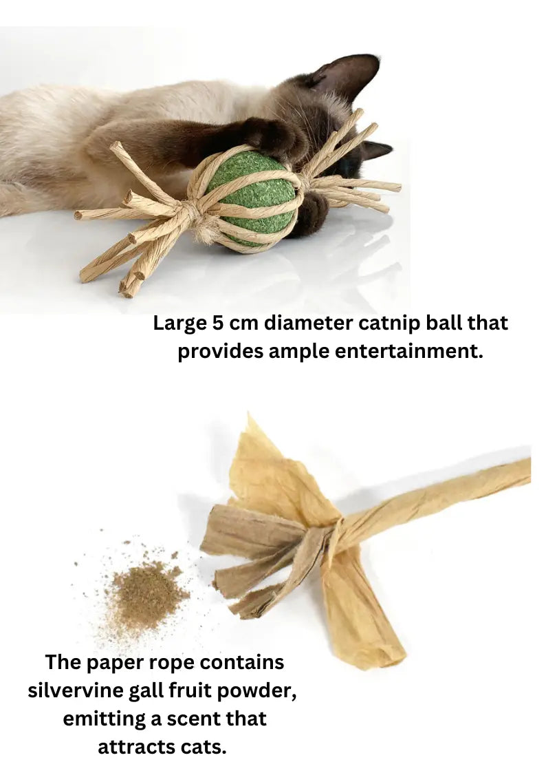 Woven Silvervine Gall Fruit Candy With Catnip Ball CATWANT