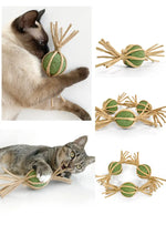 Woven Silvervine Gall Fruit Candy With Catnip Ball CATWANT