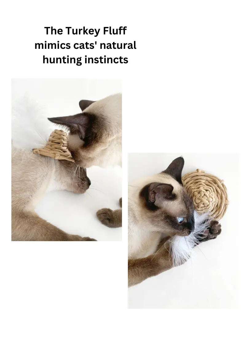 Woven Silvervine Gall Fruit Sunhat CATWANT