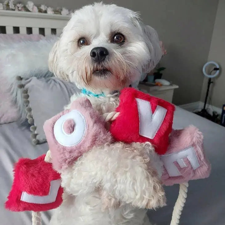 WufWuf -  Love - Rope & Plush Dog Toy - PAWMART.ca