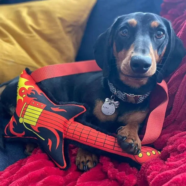 WufWuf - Rottie Blackpaw's Guitar - Plush Dog Toy - PAWMART.ca