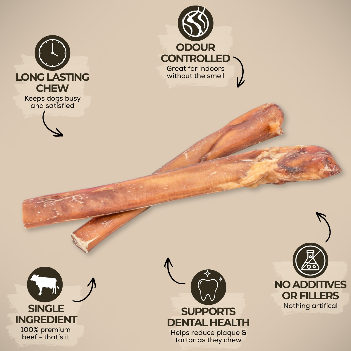 12 Inch Mega Monster Bully Stick (LIMITED) Dog Chews, product photo 3 of 9