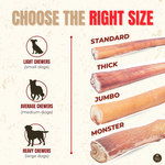6 Inch Thick Bully Stick Dog Chews, product photo 5 of 9