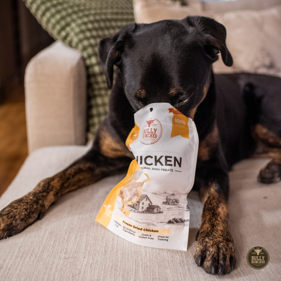 Freeze Dried Chicken 100g / 3.5oz Dog Treats, product photo 2 of 8
