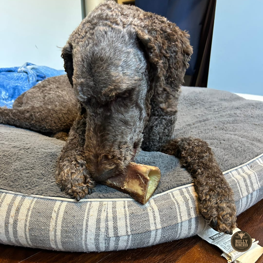 5-6 Inch Marrow Bone Dog Chews