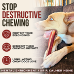 12 Inch Mega Monster Bully Stick (LIMITED) Dog Chews, product photo 5 of 9
