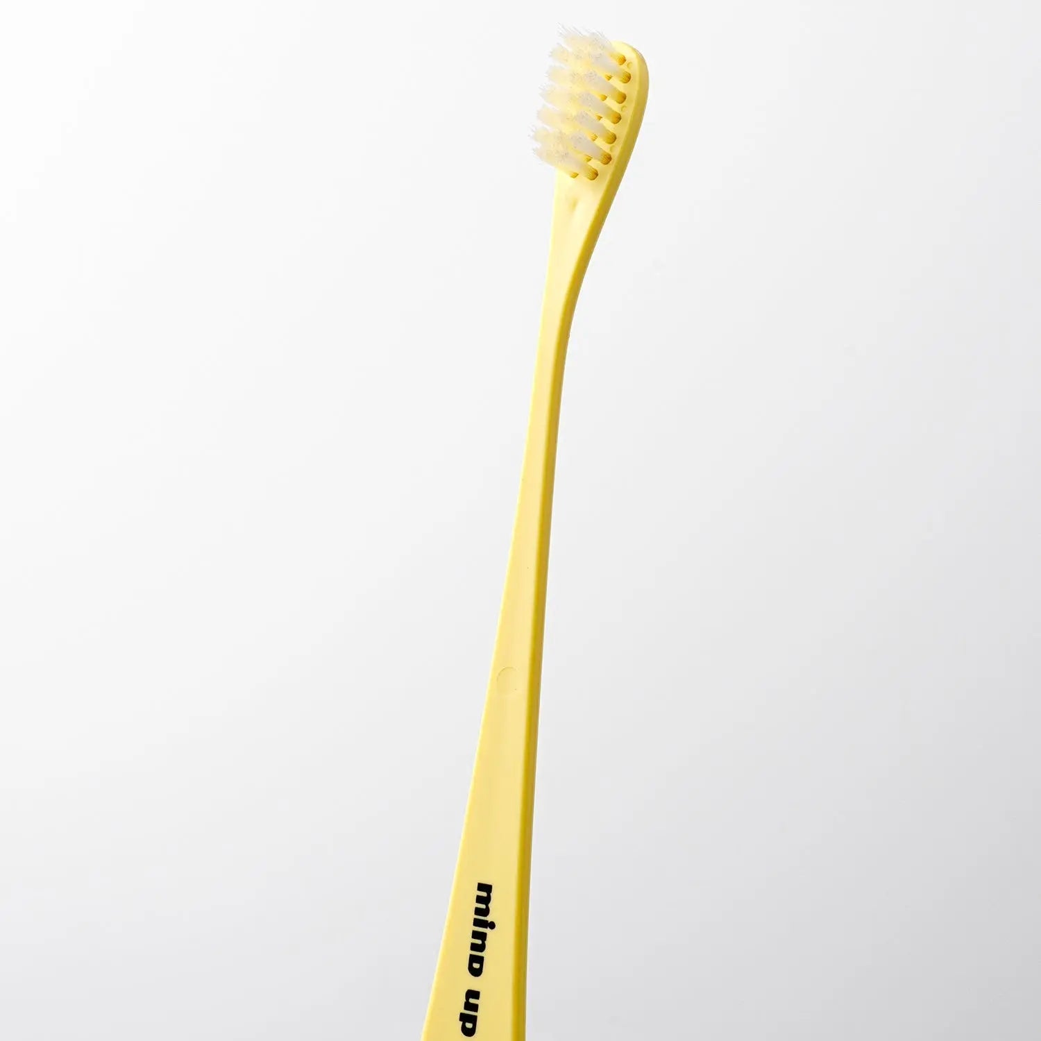 mind up - Dog's Soft Toothbrush Large Head（Made in Japan) Doge N Cate