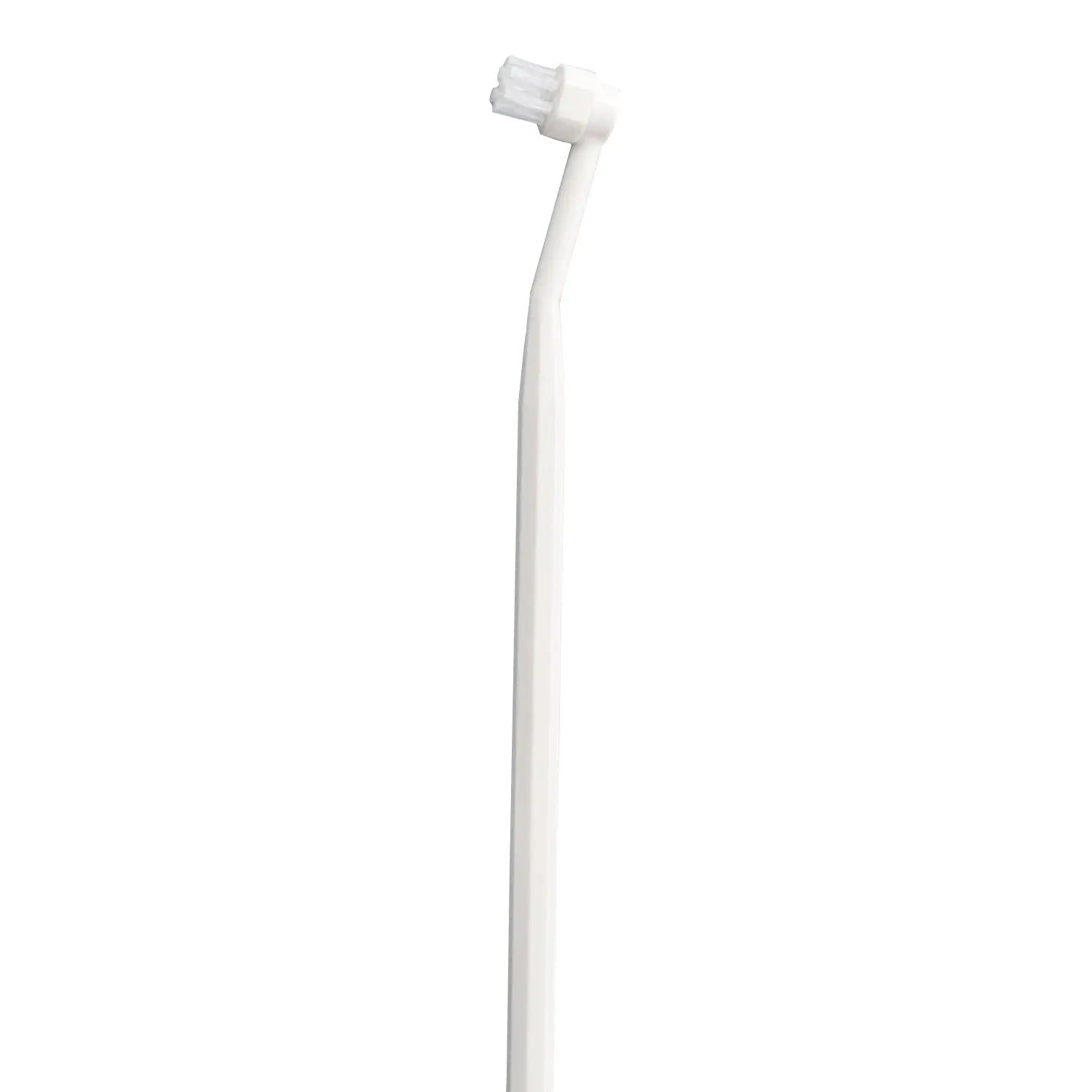 mind up - Dog's Toothbrush Detachable Round Head (Made in Japan) Doge N Cate