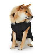 PAJAR - Barnard  - Hooded Coat For Dogs PAJAR