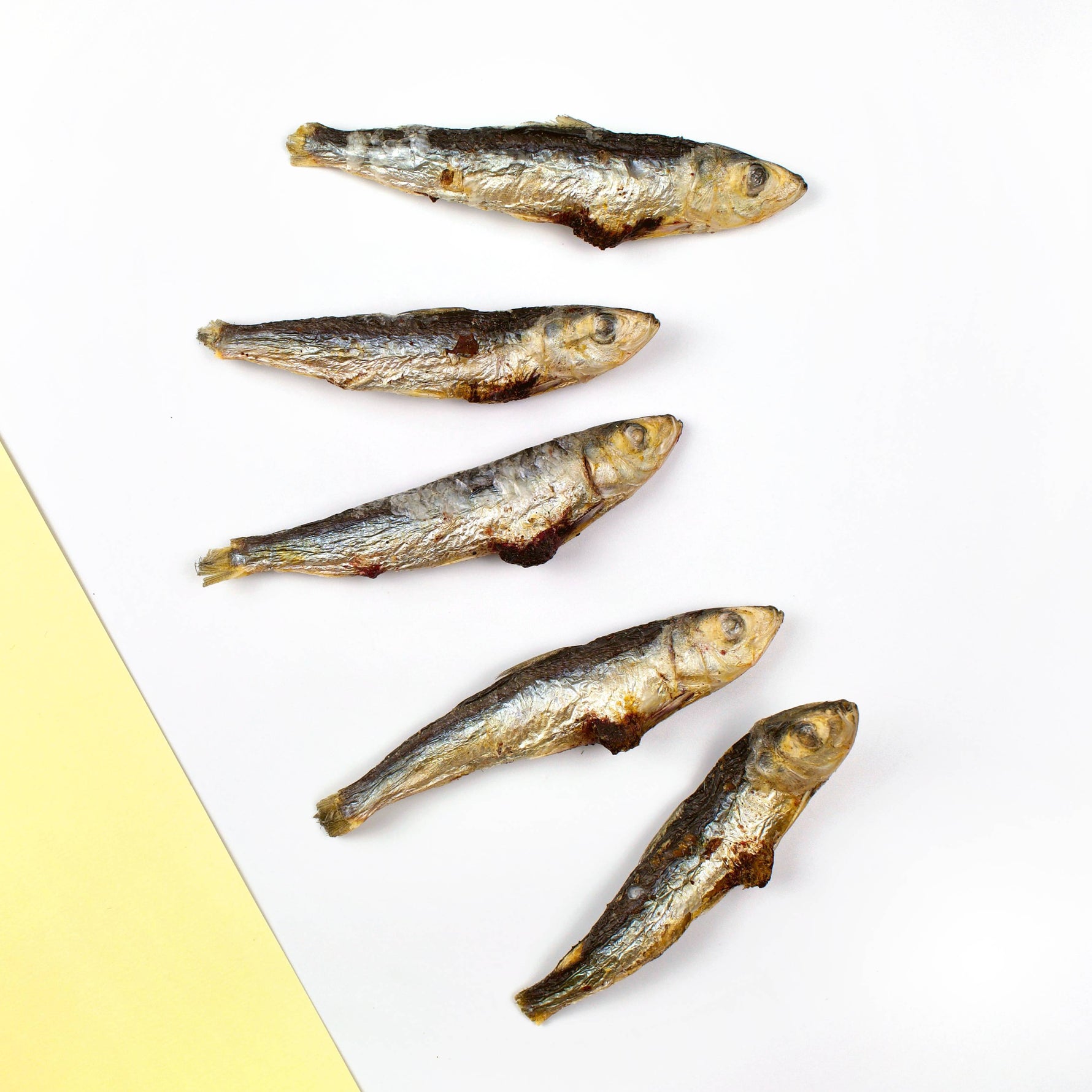 Wiggly Babies -  Wild Caught Sardine Freeze Dried Raw Wiggly Babies