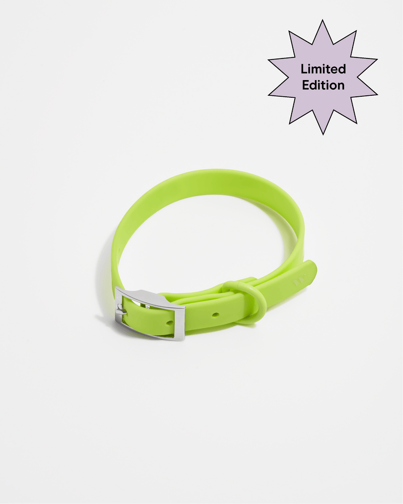 Wild One Collar - Limeade ✨ Limited Edition Wild One