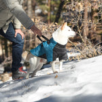 Gooby - Alpine Explorer - Snow jacket for Dog GOOBY