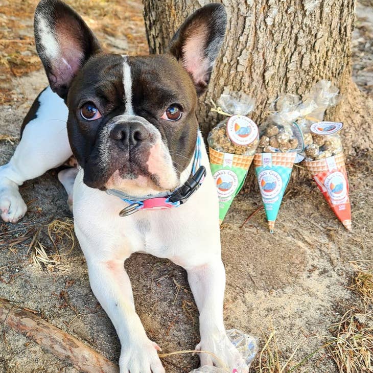 Cooka's Cookies - BEIJINHOS DE PORCO & SARDINHA | Pork & Sardine - Dogs Treats Cooka's Cookies