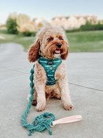 EMBER & IVORY - Macrame Leash - Jade - Spiral - Natural Leather Handle Ember & Ivory