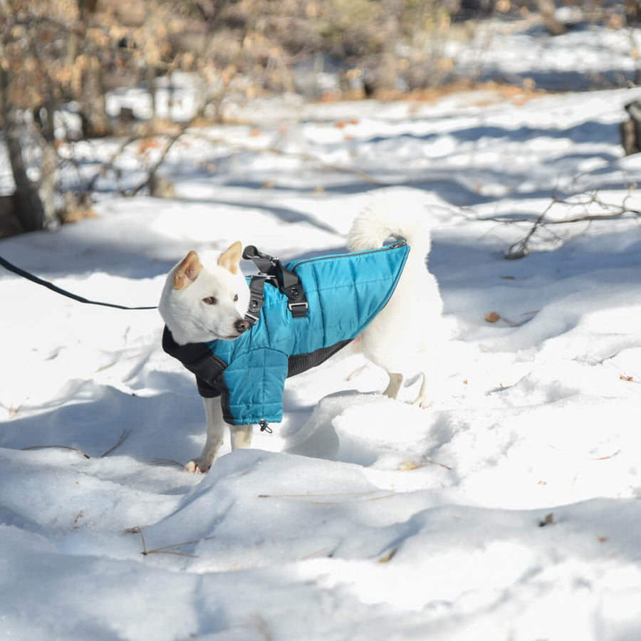 Gooby - Alpine Explorer - Snow jacket for Dog GOOBY