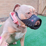 Bullybillows - FABRIC SAFETY/EMERGENCY MUZZLE - SIGNATURE BLACK - Muzzle for dogs BullyBillows