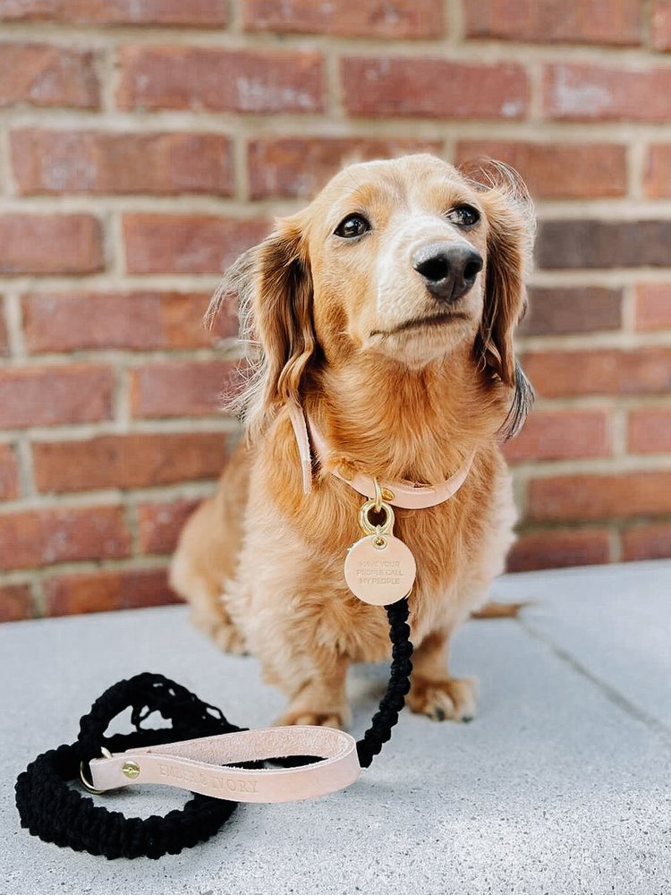 EMBER & IVORY - Macrame Leash - Ember - Spiral - Natural Leather Black Handle Ember & Ivory