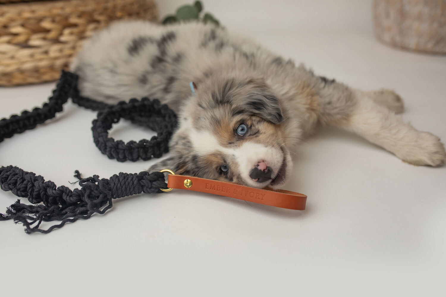 EMBER & IVORY - Macrame Leash - Ember - Spiral - Natural Leather Black Handle Ember & Ivory