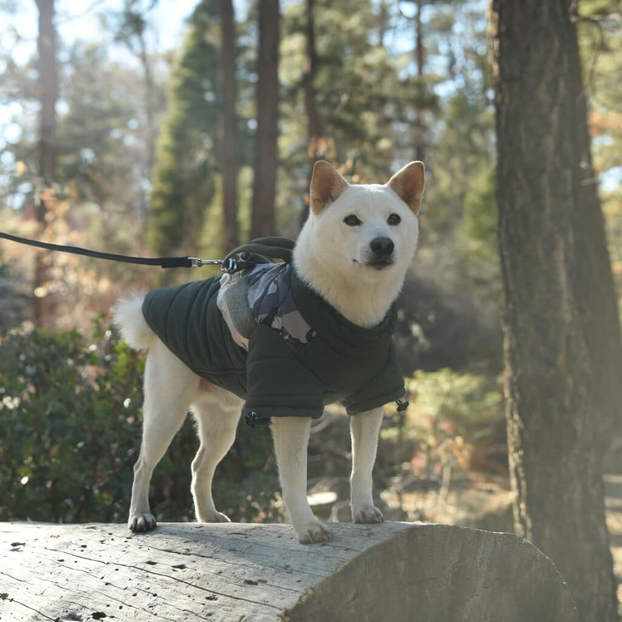 Gooby - Mountaineer Jacket Camo for Dogs GOOBY