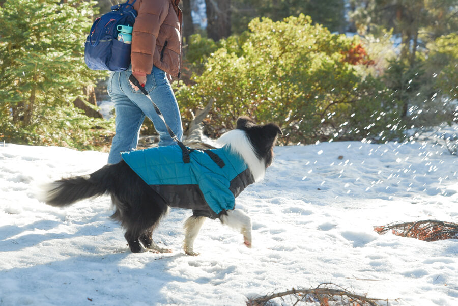 Gooby - Alpine Explorer - Snow jacket for Dog GOOBY